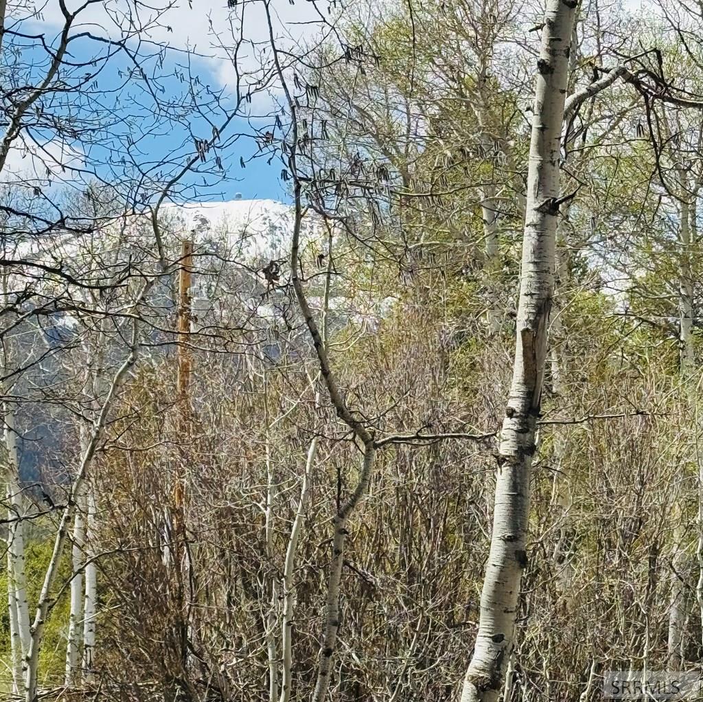 4780 Fir Street Property Photo 17