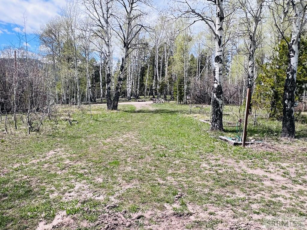 4780 Fir Street Property Photo 19