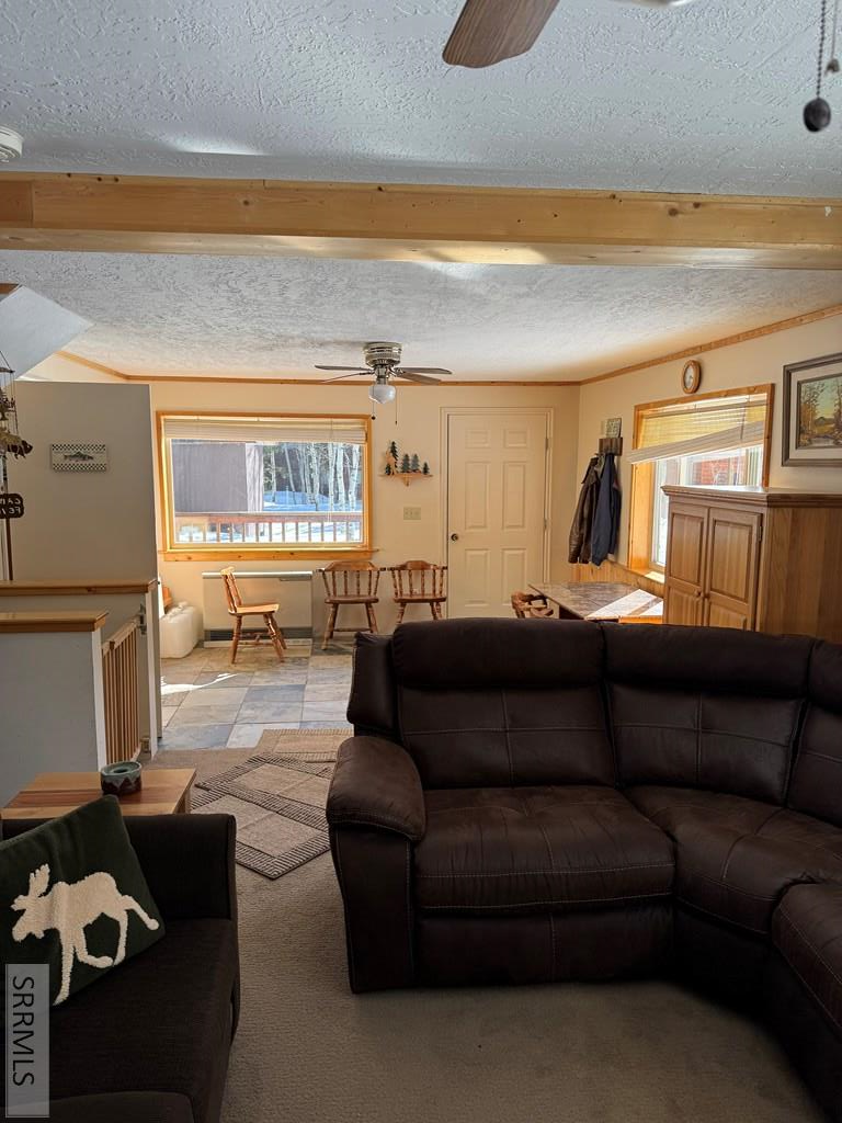 4780 Fir Street Property Photo 24