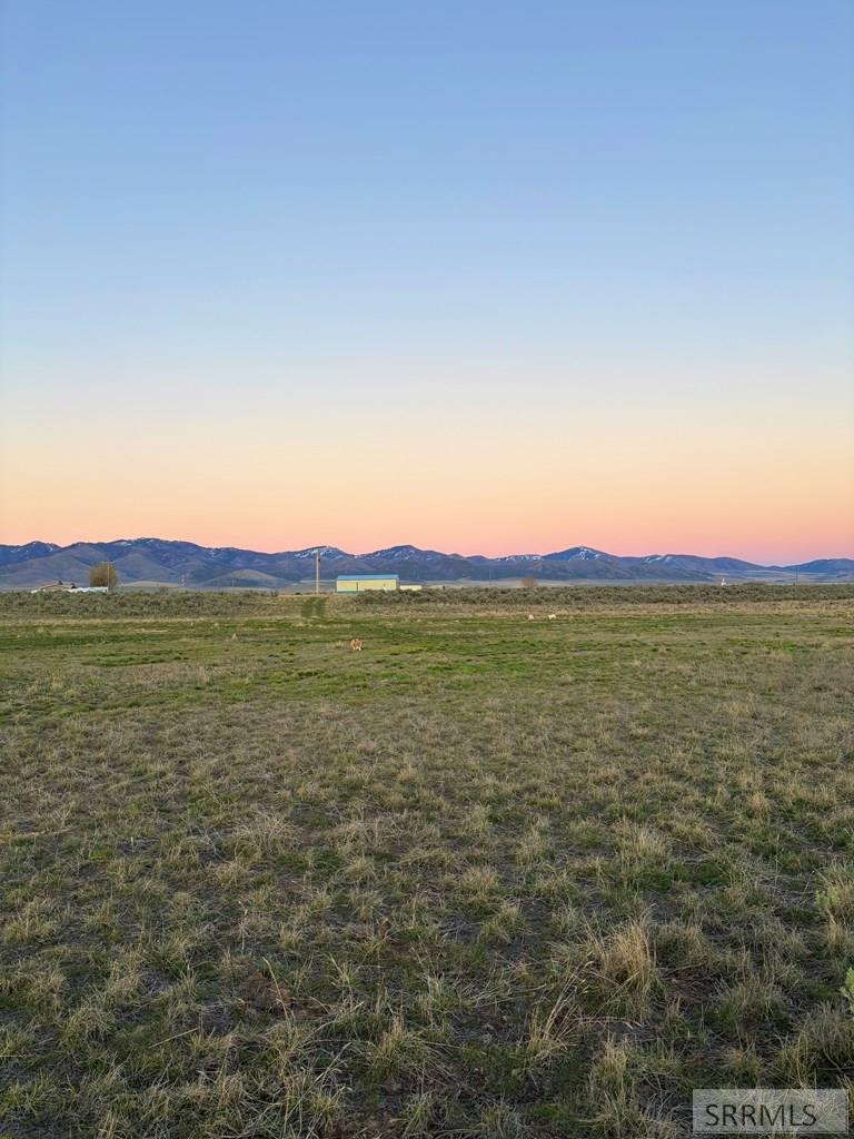 22827 S Race Track Road Property Photo 25