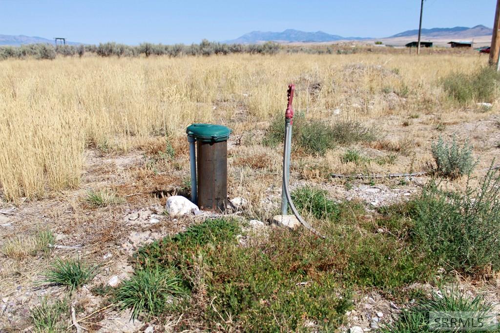 22827 S Race Track Road Property Photo 34