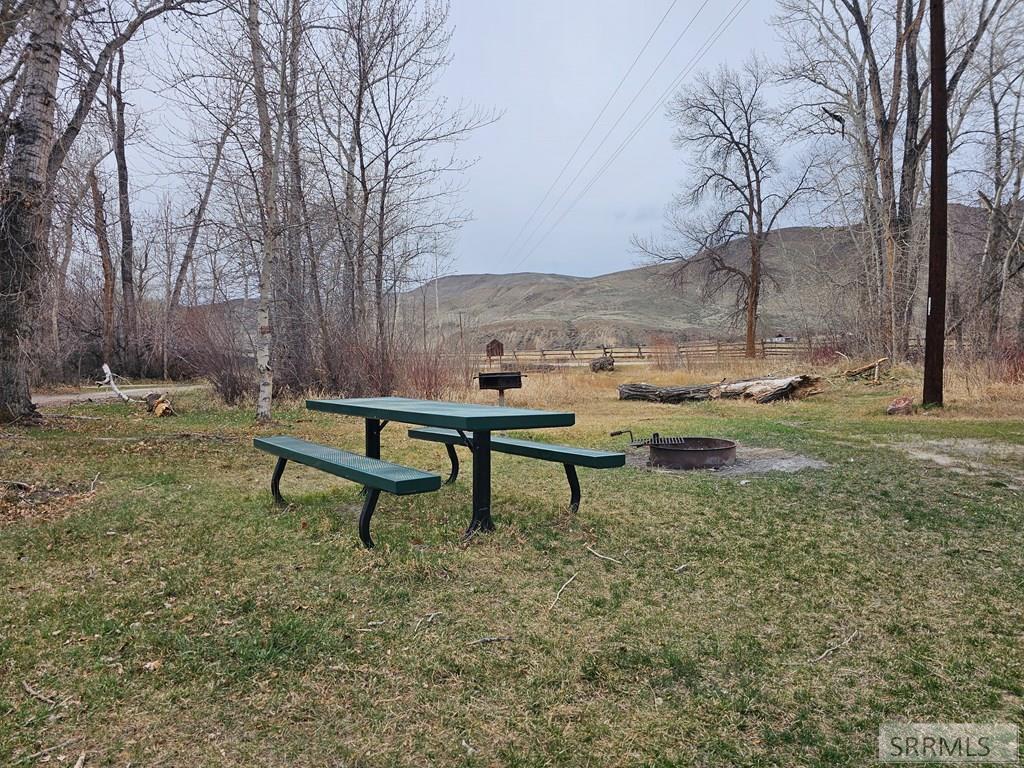 24 Pickett Loop Property Photo 85