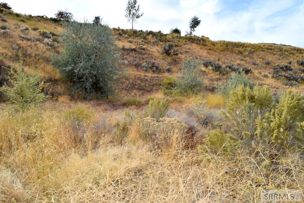 6852 S Ensenada Circle Property Photo 10