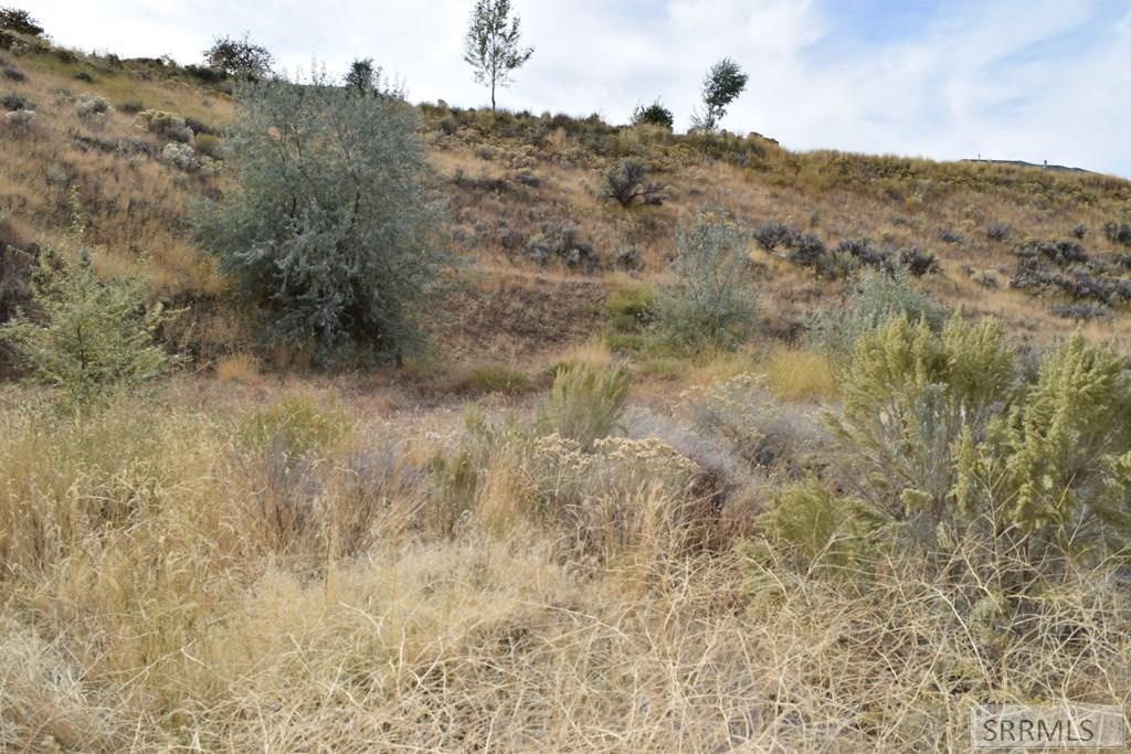 6852 S Ensenada Circle Property Photo 21