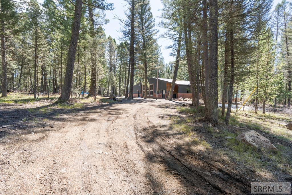 4154 Pine Crest Drive Property Photo 1