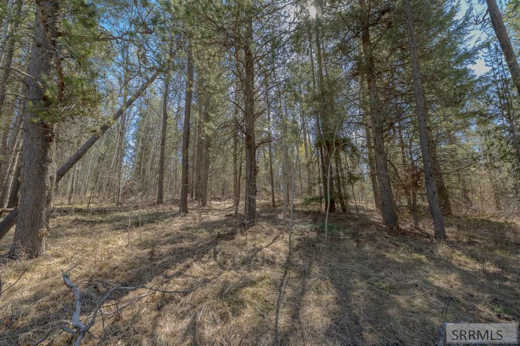 4374 Madeline Trail Property Photo 2