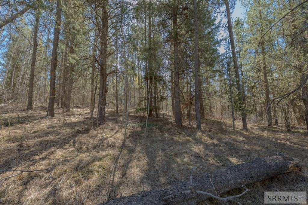 4374 Madeline Trail Property Photo 3