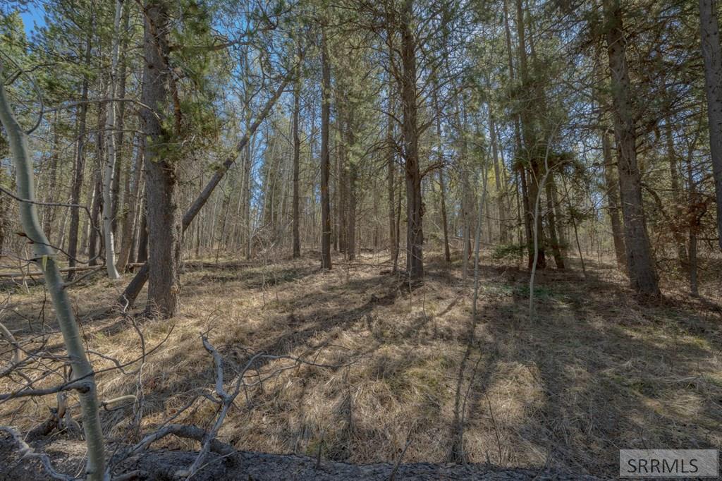 4374 Madeline Trail Property Photo 4