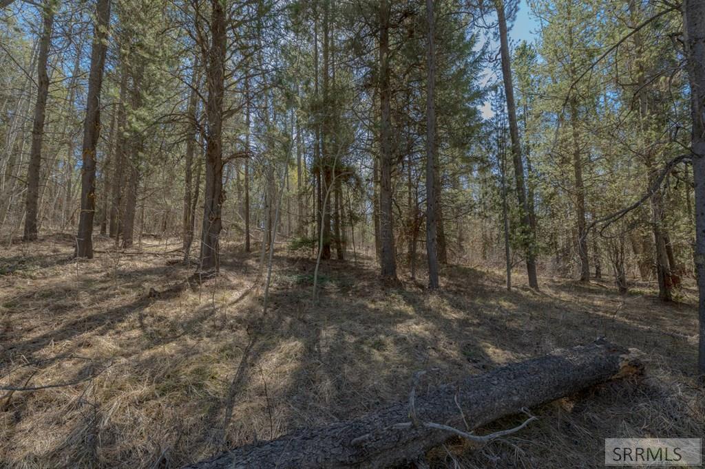 4374 Madeline Trail Property Photo 5