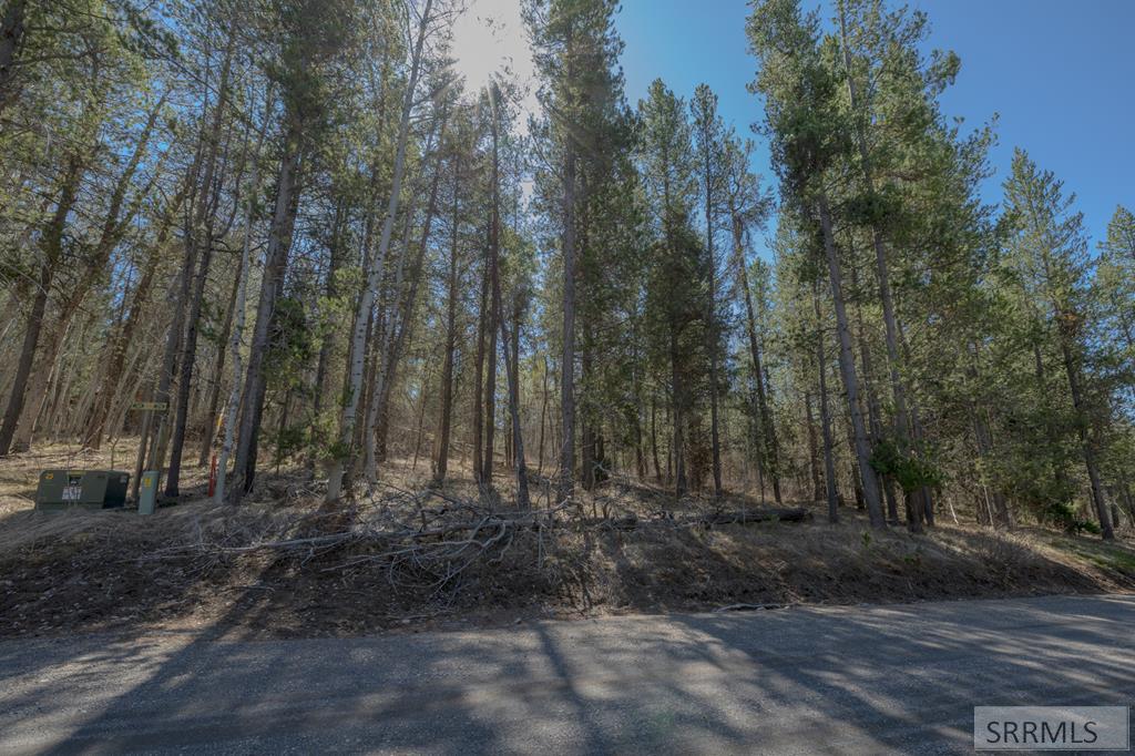 4374 Madeline Trail Property Photo 7