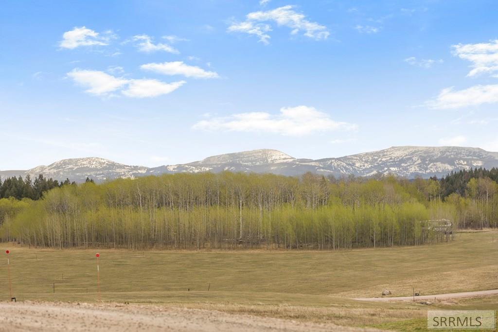 1628 Teton View Drive Property Photo 7