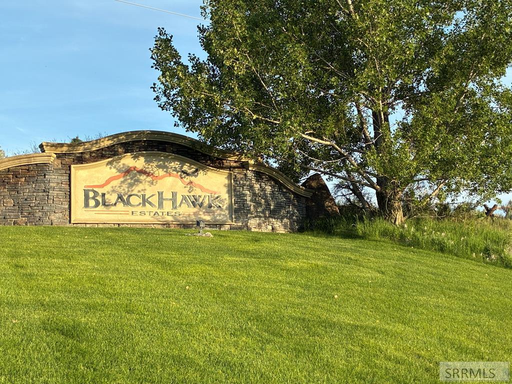 4610 E Dusty Bison Circle Property Photo 1