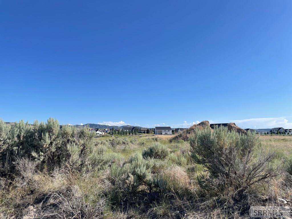 4610 E Dusty Bison Circle Property Photo 3