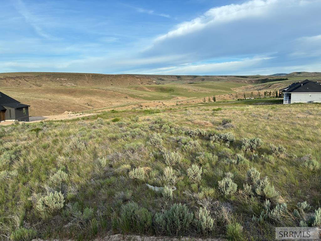 4610 E Dusty Bison Circle Property Photo 10