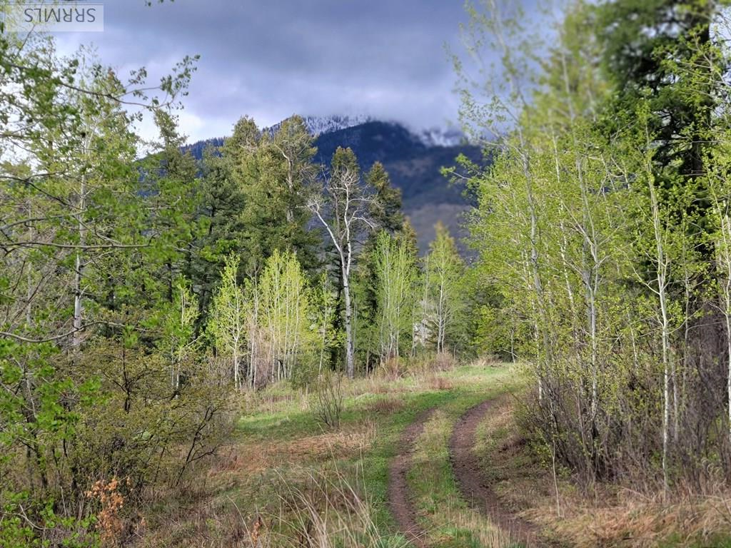 L31b4 Cutthroat Run Property Photo 2