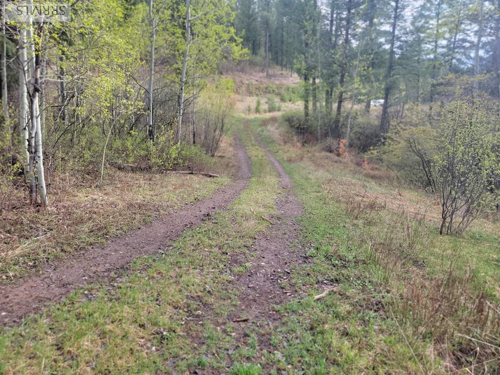 L31b4 Cutthroat Run Property Photo 3