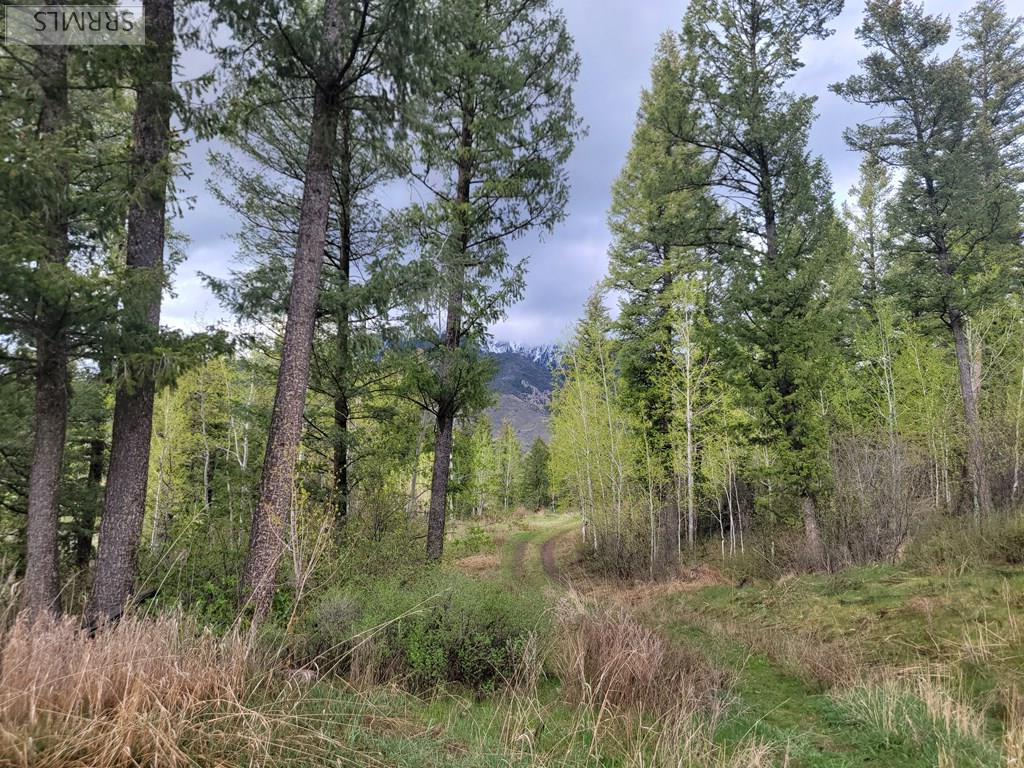 L31b4 Cutthroat Run Property Photo 4