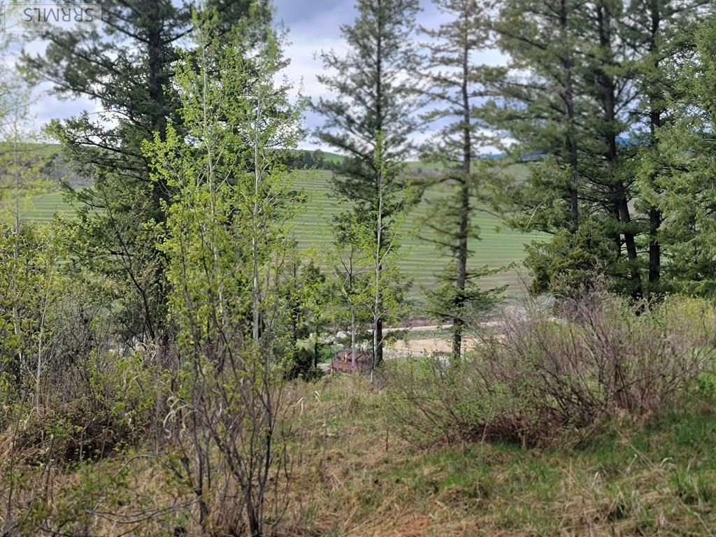 L31b4 Cutthroat Run Property Photo 6