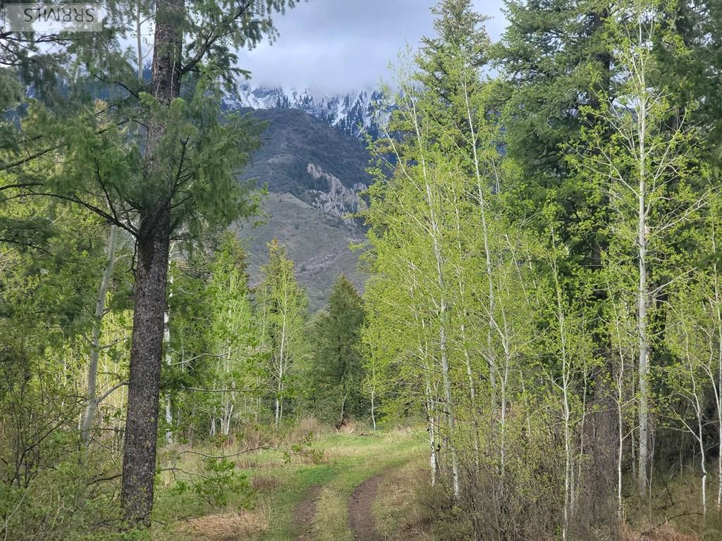 L31b4 Cutthroat Run Property Photo 7
