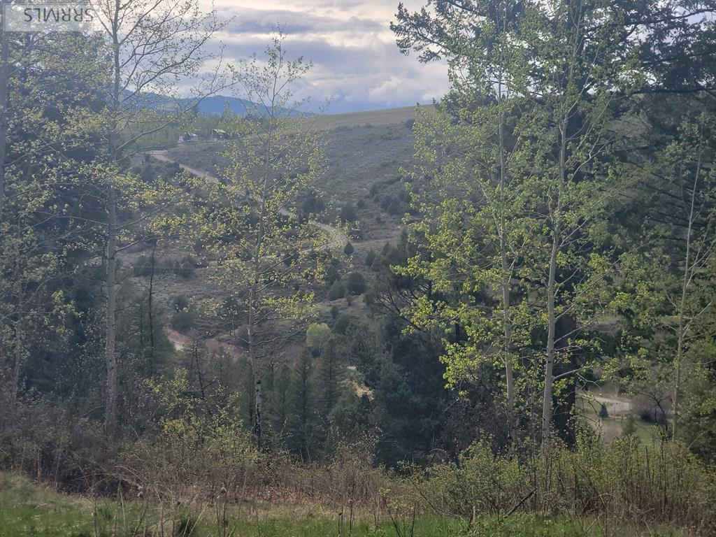 L31b4 Cutthroat Run Property Photo 8
