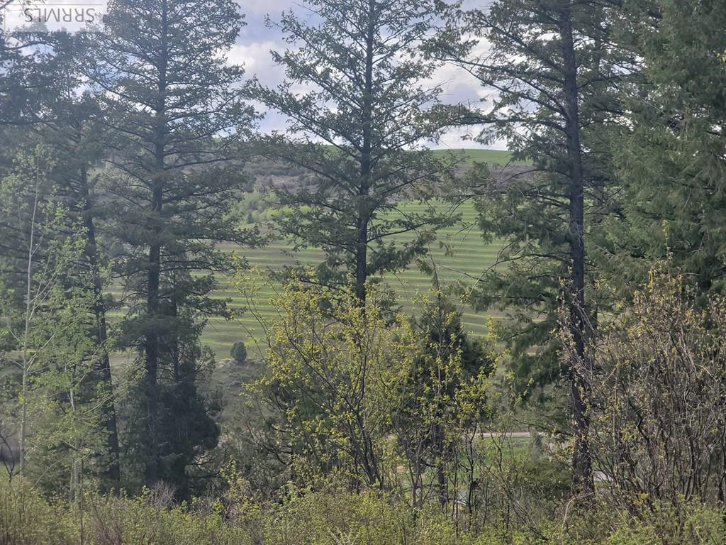 L31b4 Cutthroat Run Property Photo 9