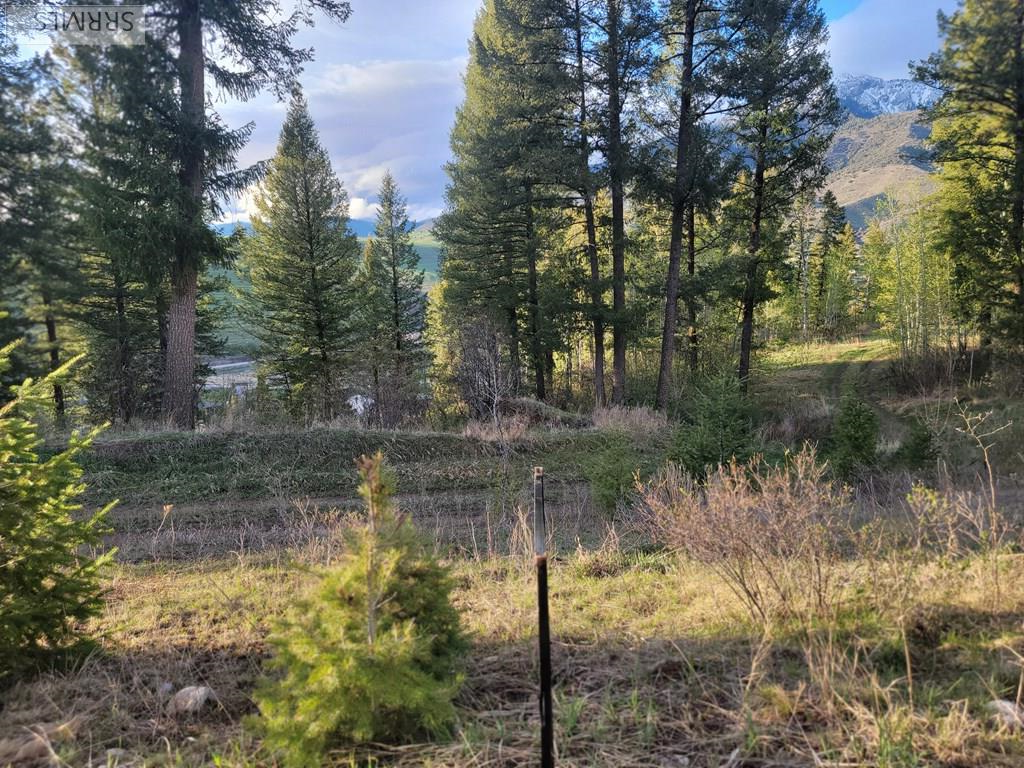 L31b4 Cutthroat Run Property Photo 10