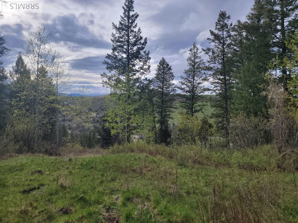 L31b4 Cutthroat Run Property Photo 11