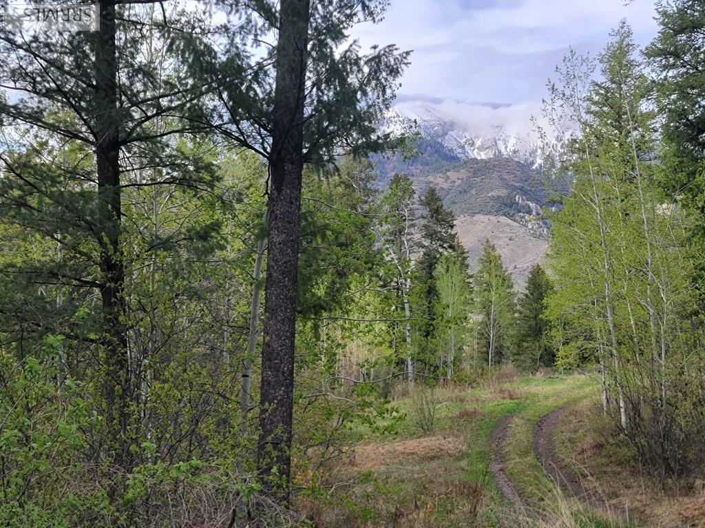 L31b4 Cutthroat Run Property Photo 13