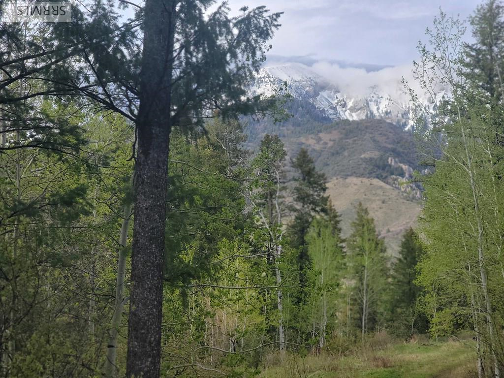 L31b4 Cutthroat Run Property Photo 14