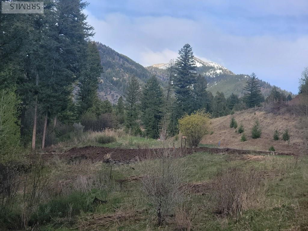 L31b4 Cutthroat Run Property Photo 15