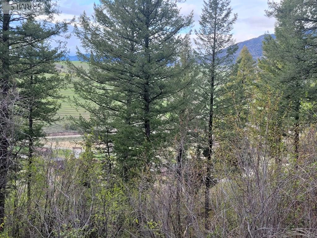 L31b4 Cutthroat Run Property Photo 16