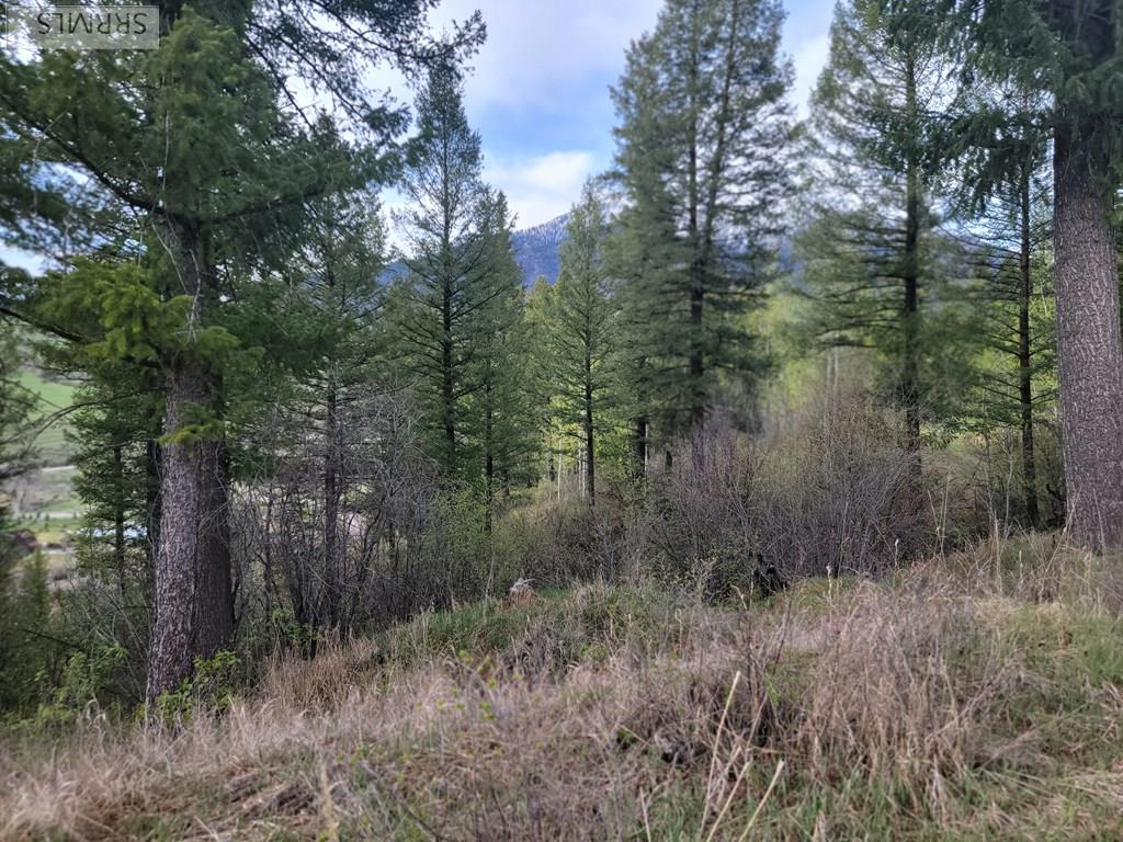 L31b4 Cutthroat Run Property Photo 17