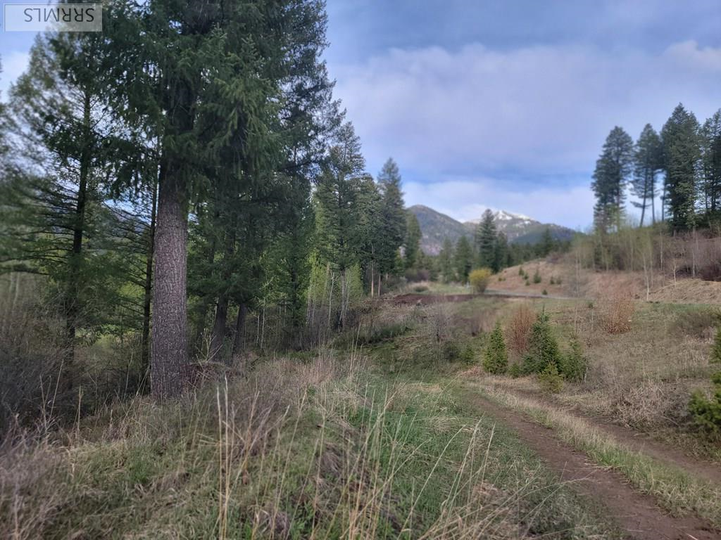 L31b4 Cutthroat Run Property Photo 18