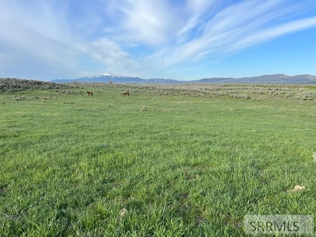 Lot A Jensen Road Property Photo 9