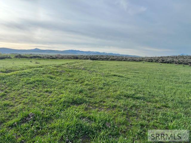Lot A Jensen Road Property Photo 17