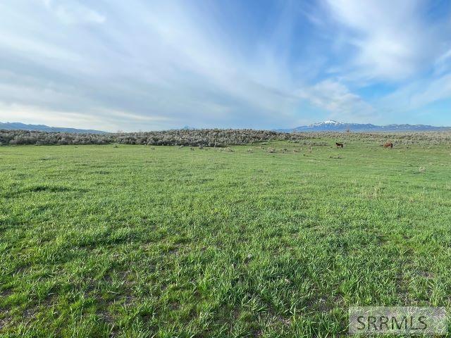 Lot A Jensen Road Property Photo 18