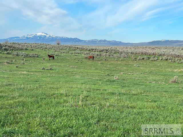 Lot A Jensen Road Property Photo 19