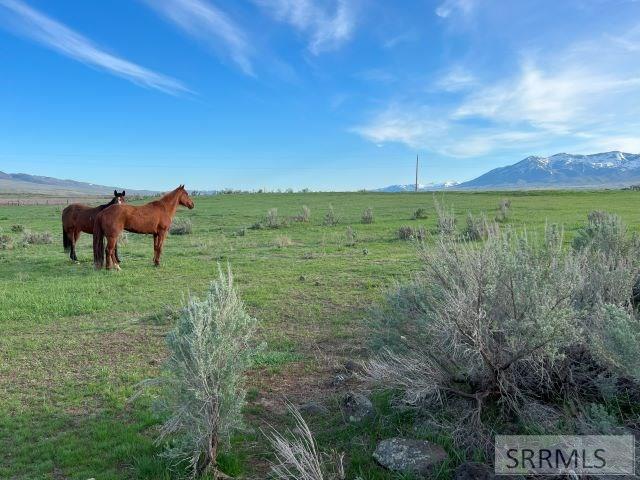 Lot B Jensen Road Property Photo 15