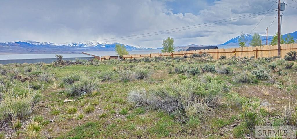2185858 Property Photo 51