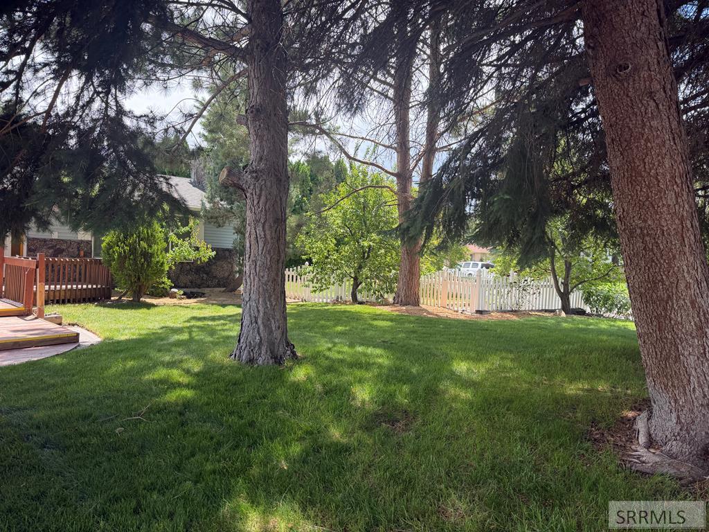 1795 Olympia Drive Property Photo 5