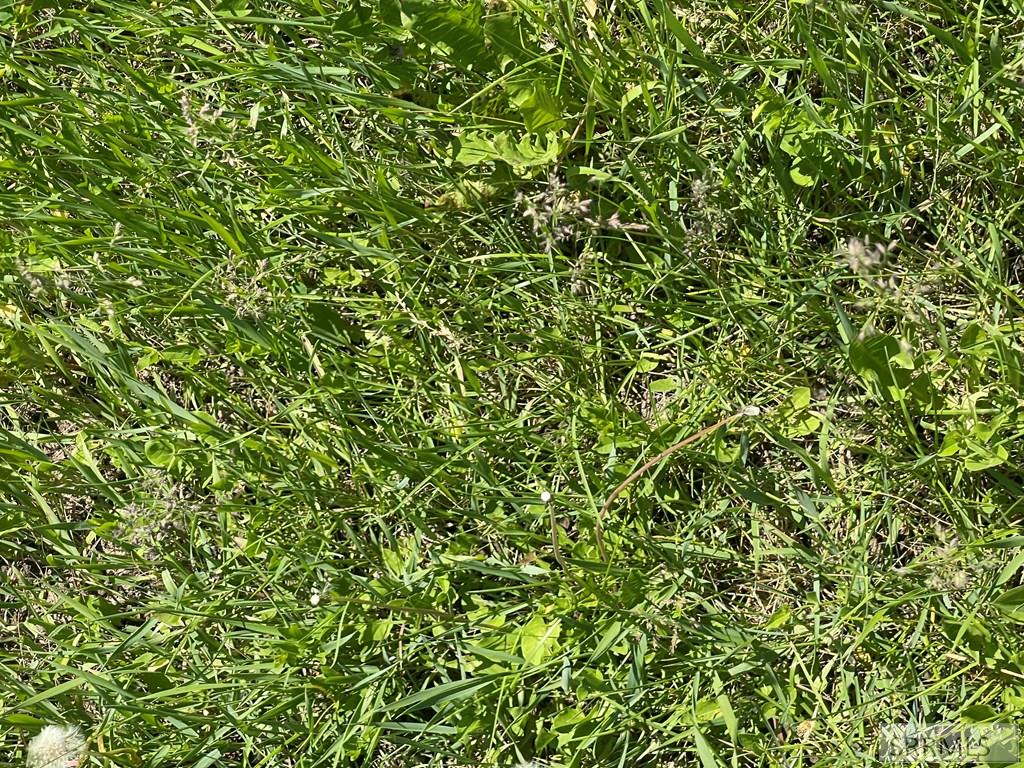 Tbd S 45 W Property Photo 9