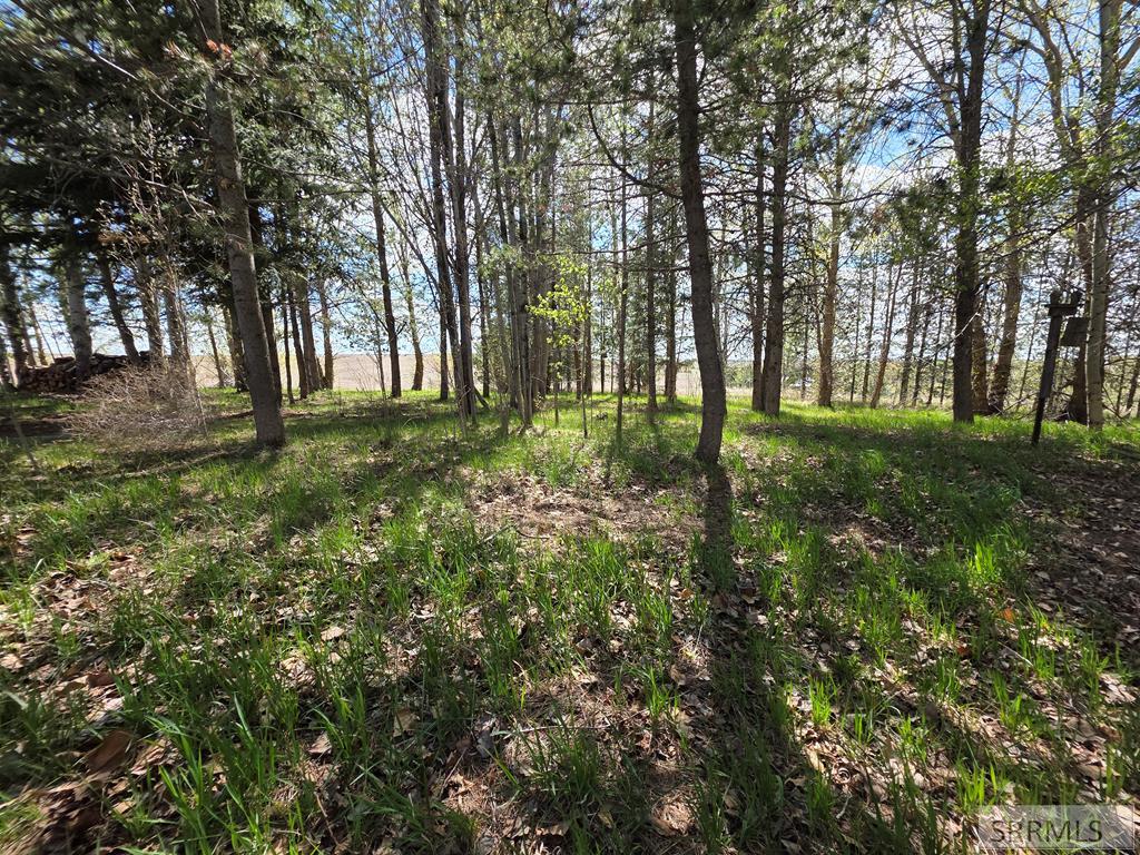 4450 Golden Eagle Drive Property Photo 83