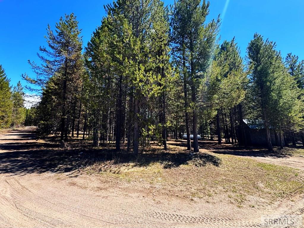 4066 Yale Creek Road Property Photo 2