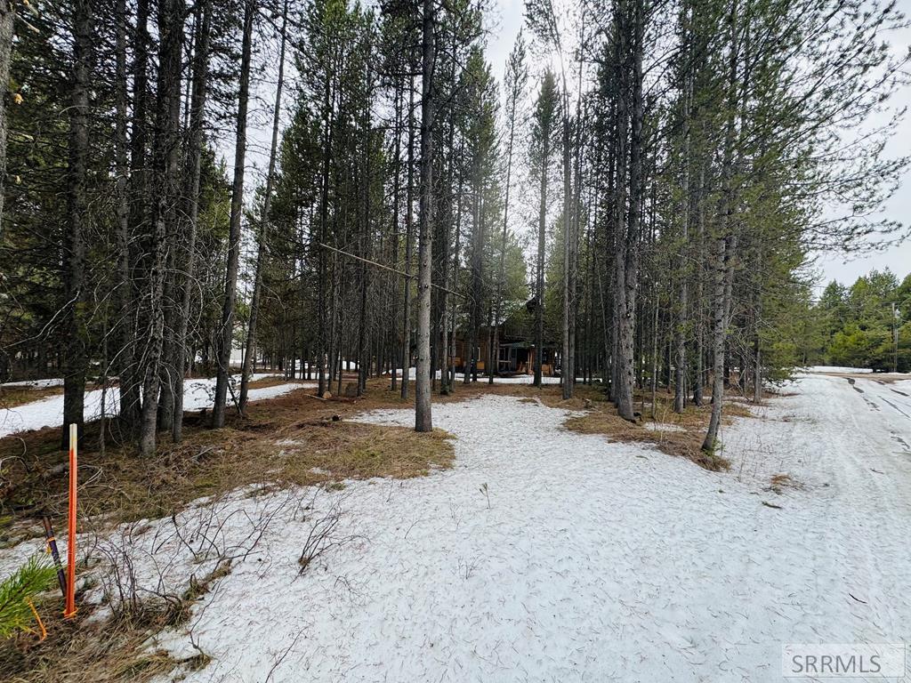 4066 Yale Creek Road Property Photo 10