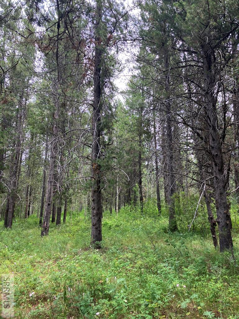 1596 Annies Landing Property Photo 1