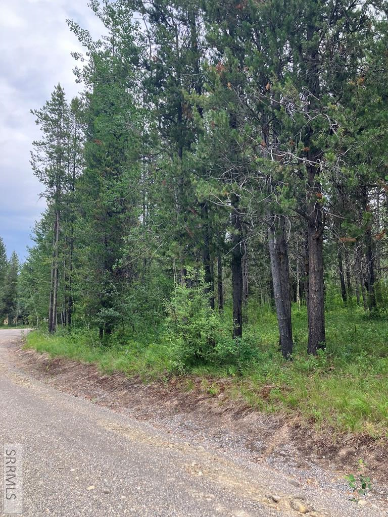 1596 Annies Landing Property Photo 2