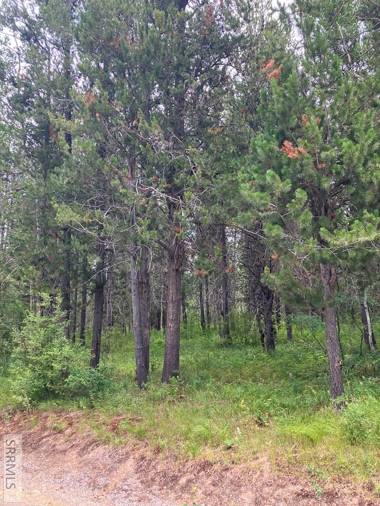 1596 Annies Landing Property Photo 4