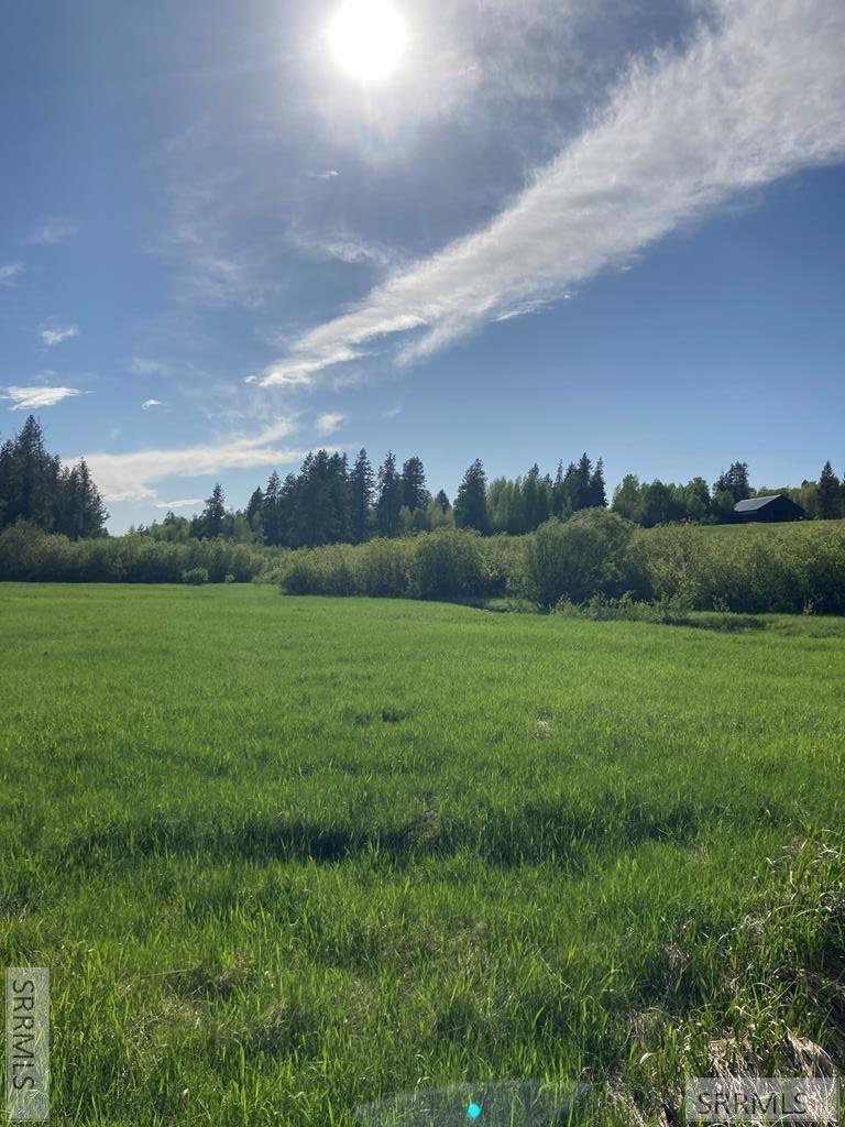 1596 Annies Landing Property Photo 17