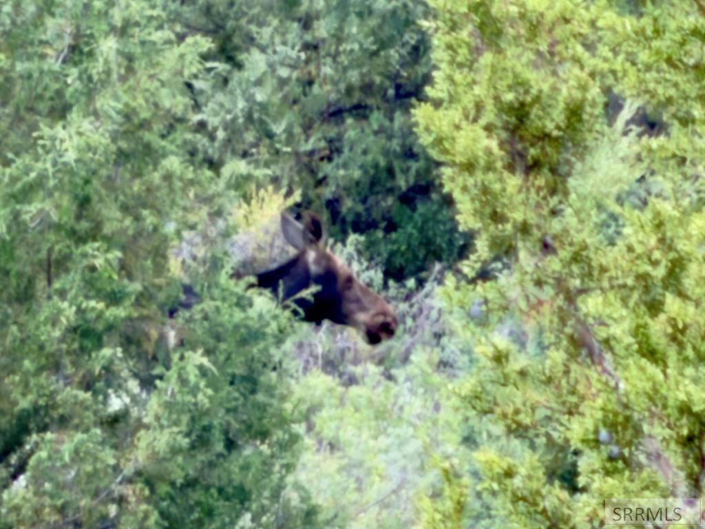 Tbd Fish Creek Road Property Photo 1