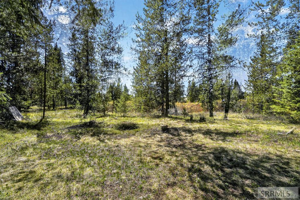 4047 Kickapoo Circle Property Photo 5